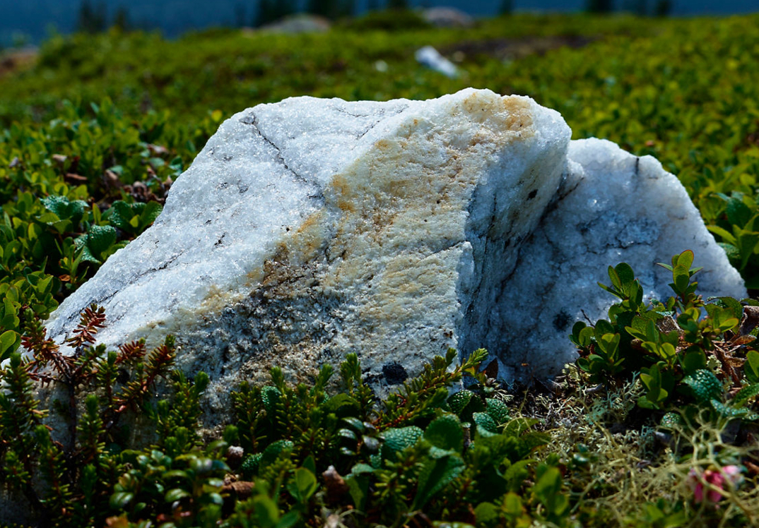 performance-profection@2x performance-profection@2x